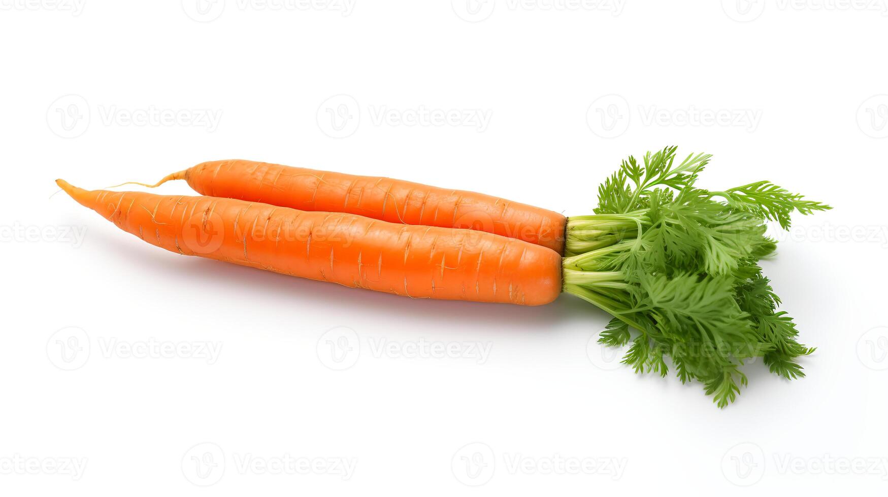 Photo of Carrot isolated on white background. generative ai