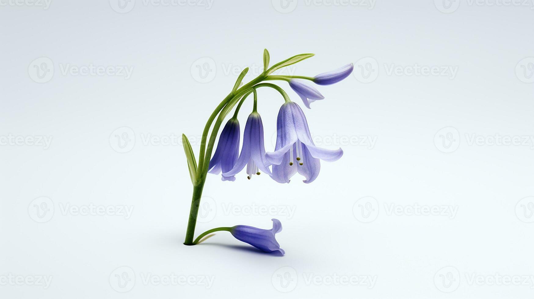 Photo of beautiful Bluebell flower isolated on white background. Generative AI