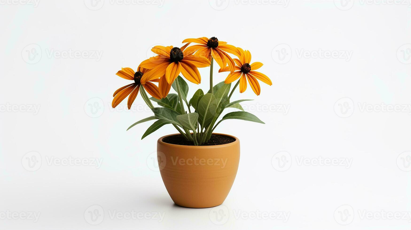 Photo of Black-Eyed Susan flower in pot isolated on white background. Generative AI