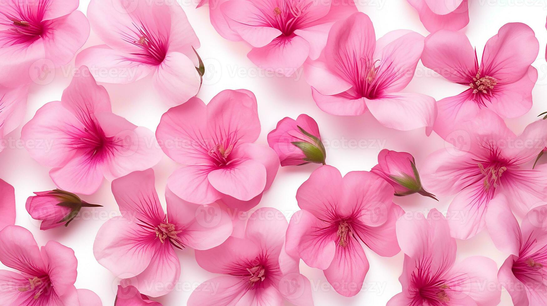 Godetia flower patterned background. Flower texture background. Generative AI photo