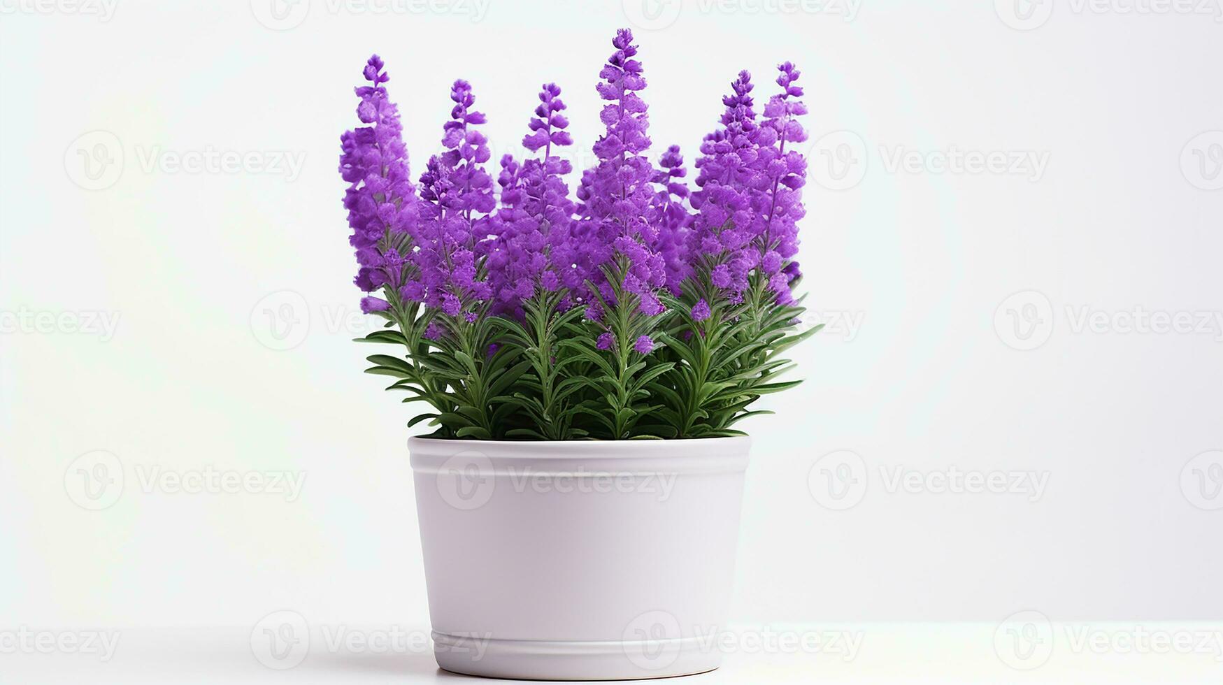 Photo of Statice flower in pot isolated on white background. Generative AI
