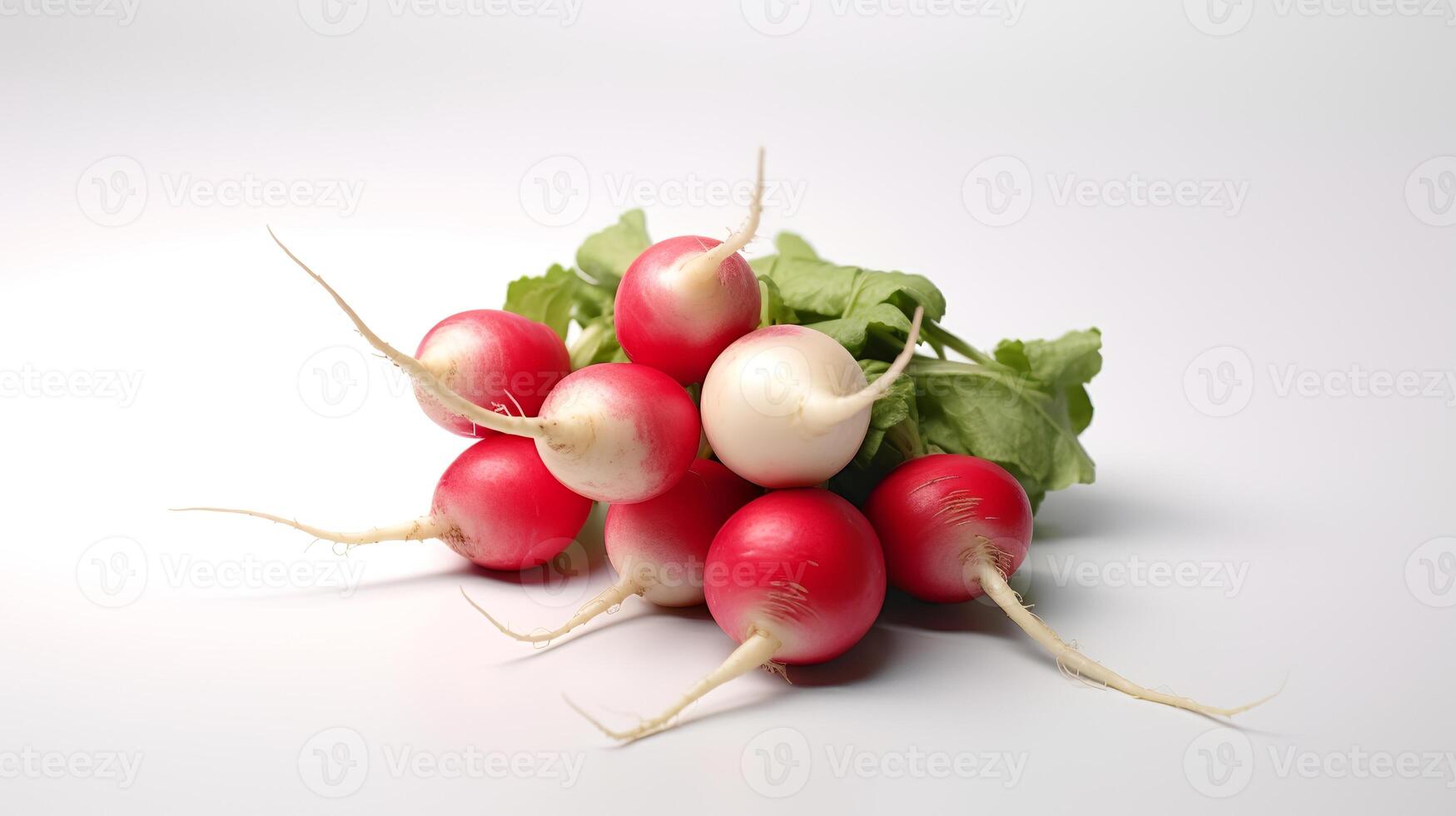 Photo of Radishes isolated on white background.