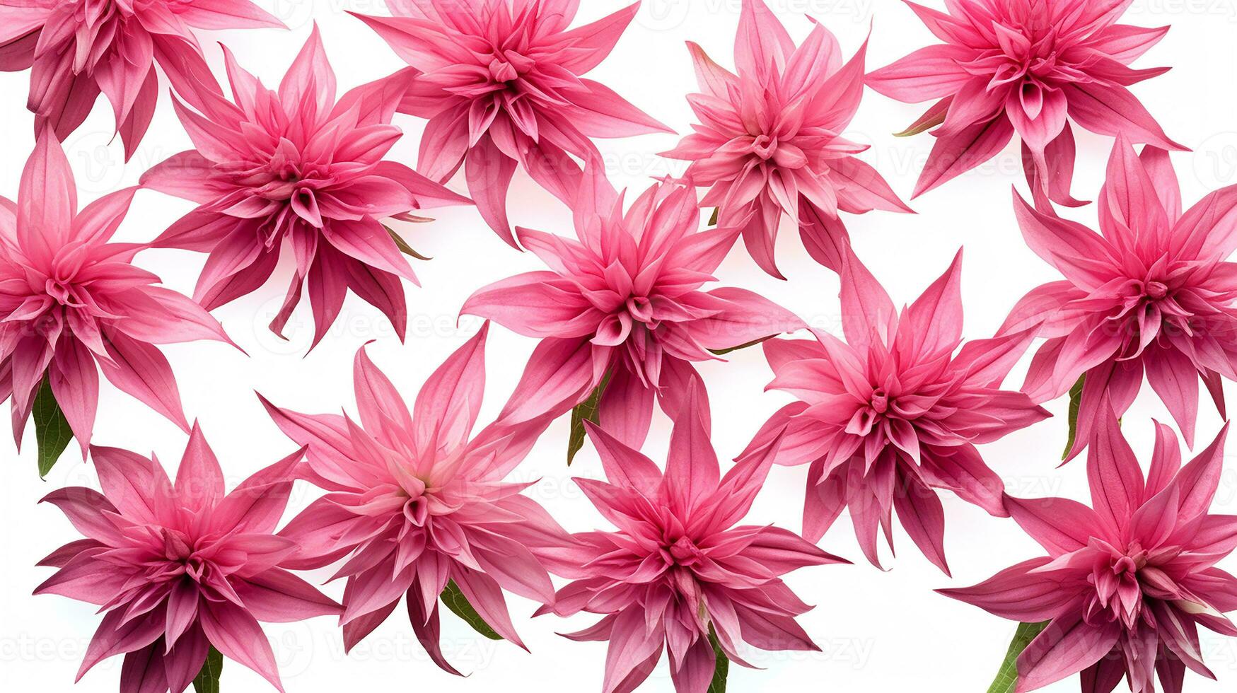 Bee Balm flower pattern background. Bee Balm flower background texture. Generative AI photo