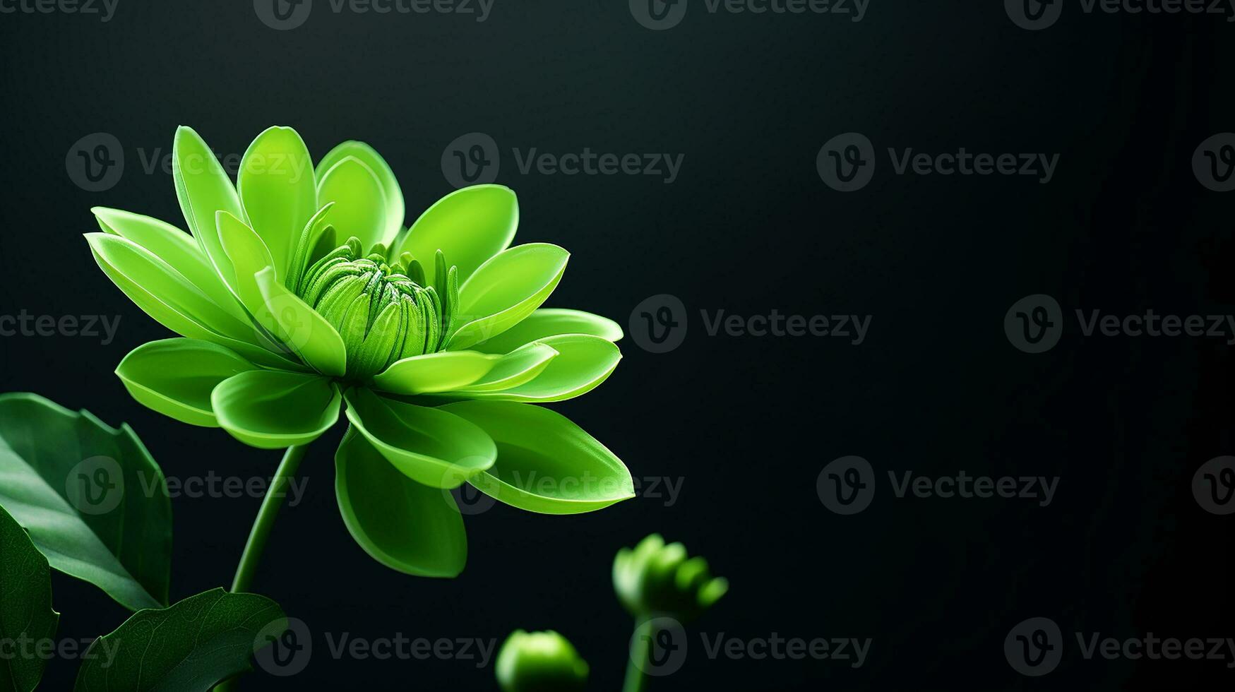 Photo of beautiful Chrysopsis flower isolated on white background. Generative AI