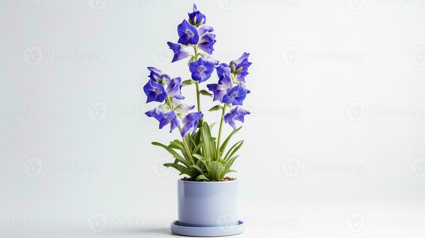 Photo of Delphinium flower in pot isolated on white background. Generative AI