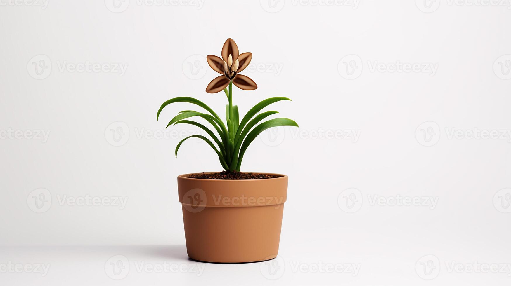 Photo of Fleur-de-lis flower in pot isolated on white background. Generative AI