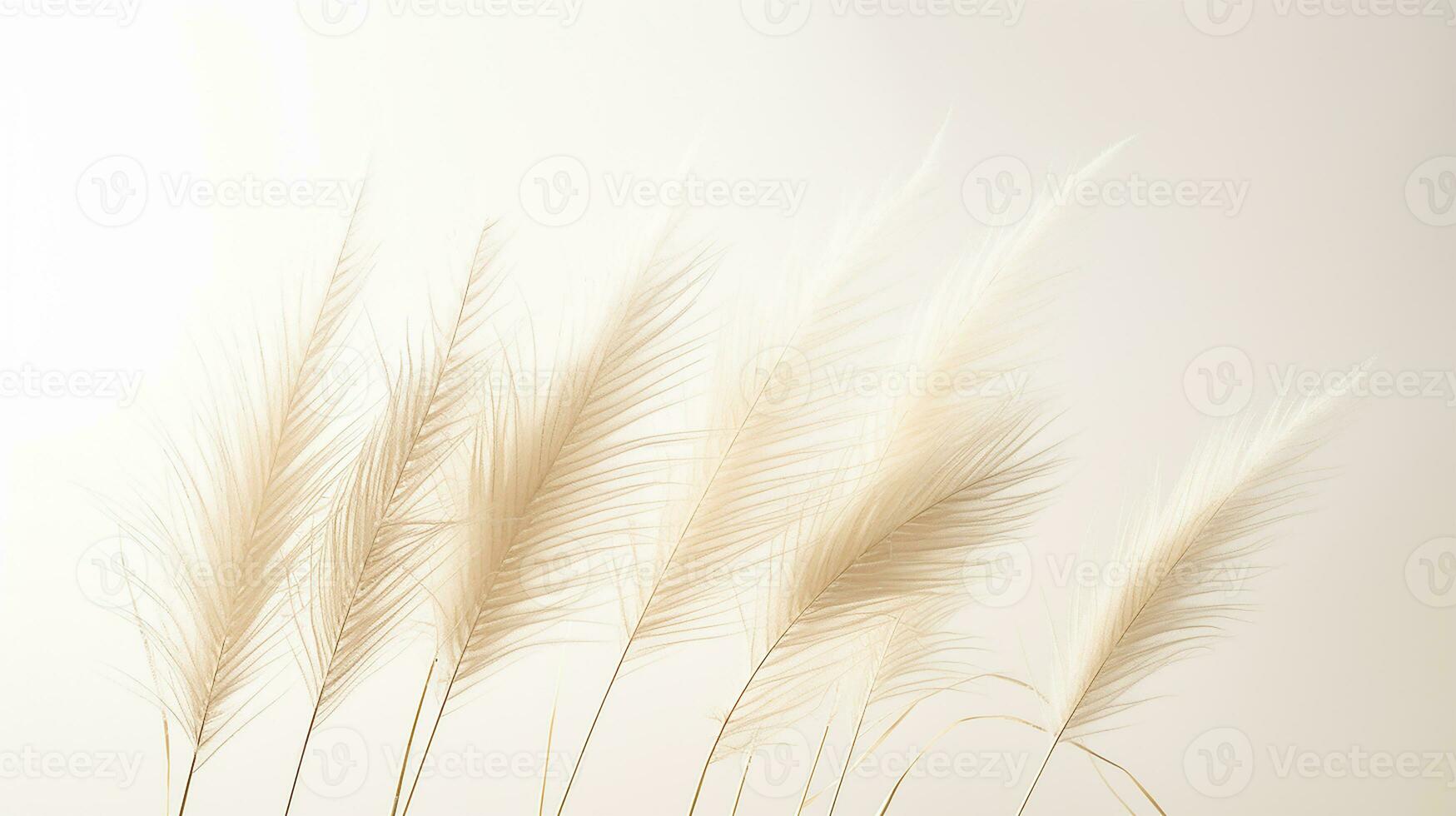 foto de hermosa pluma Junco césped flor aislado en blanco antecedentes. generativo ai