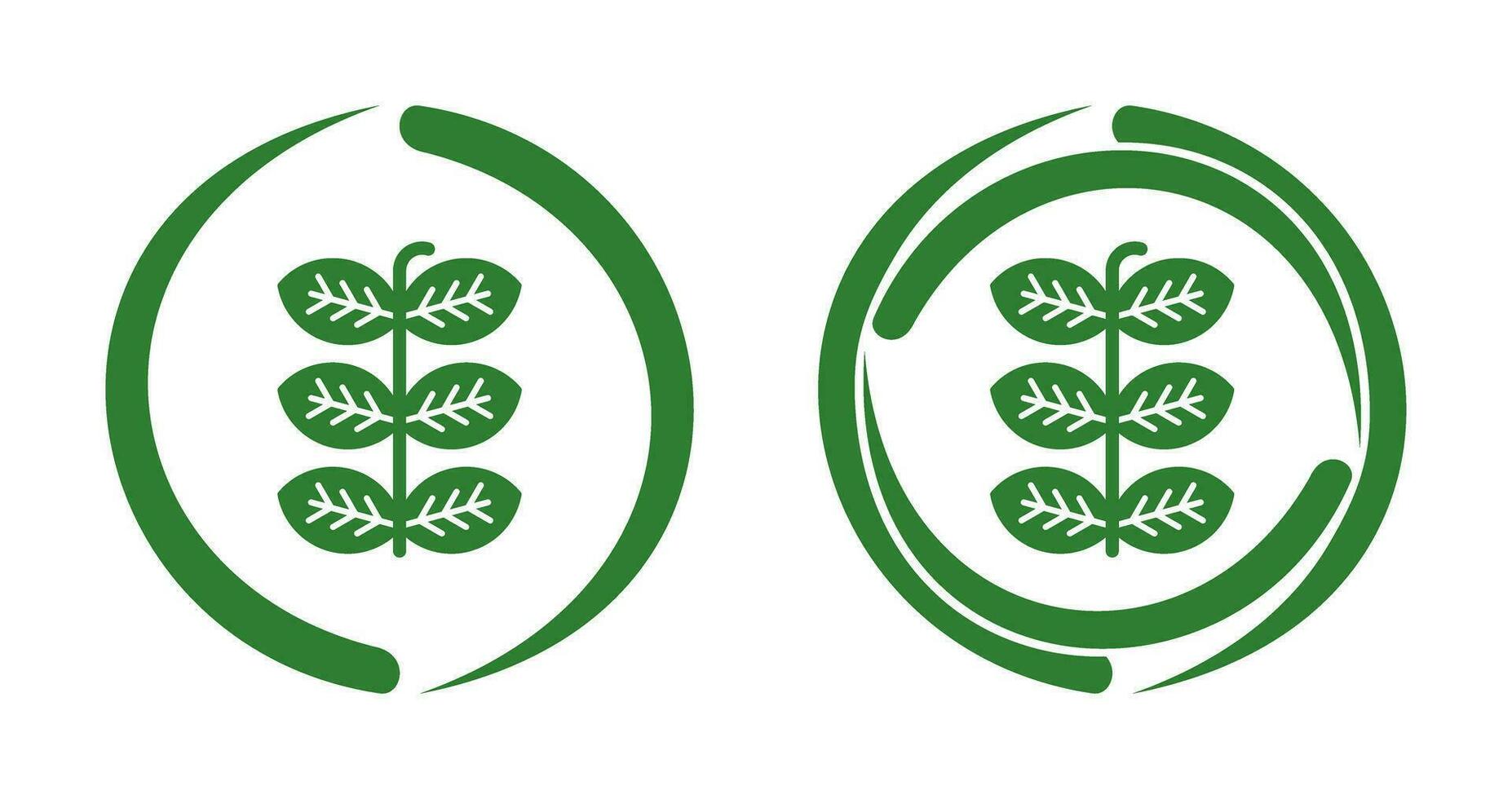 Tobacco Leafs Vector Icon