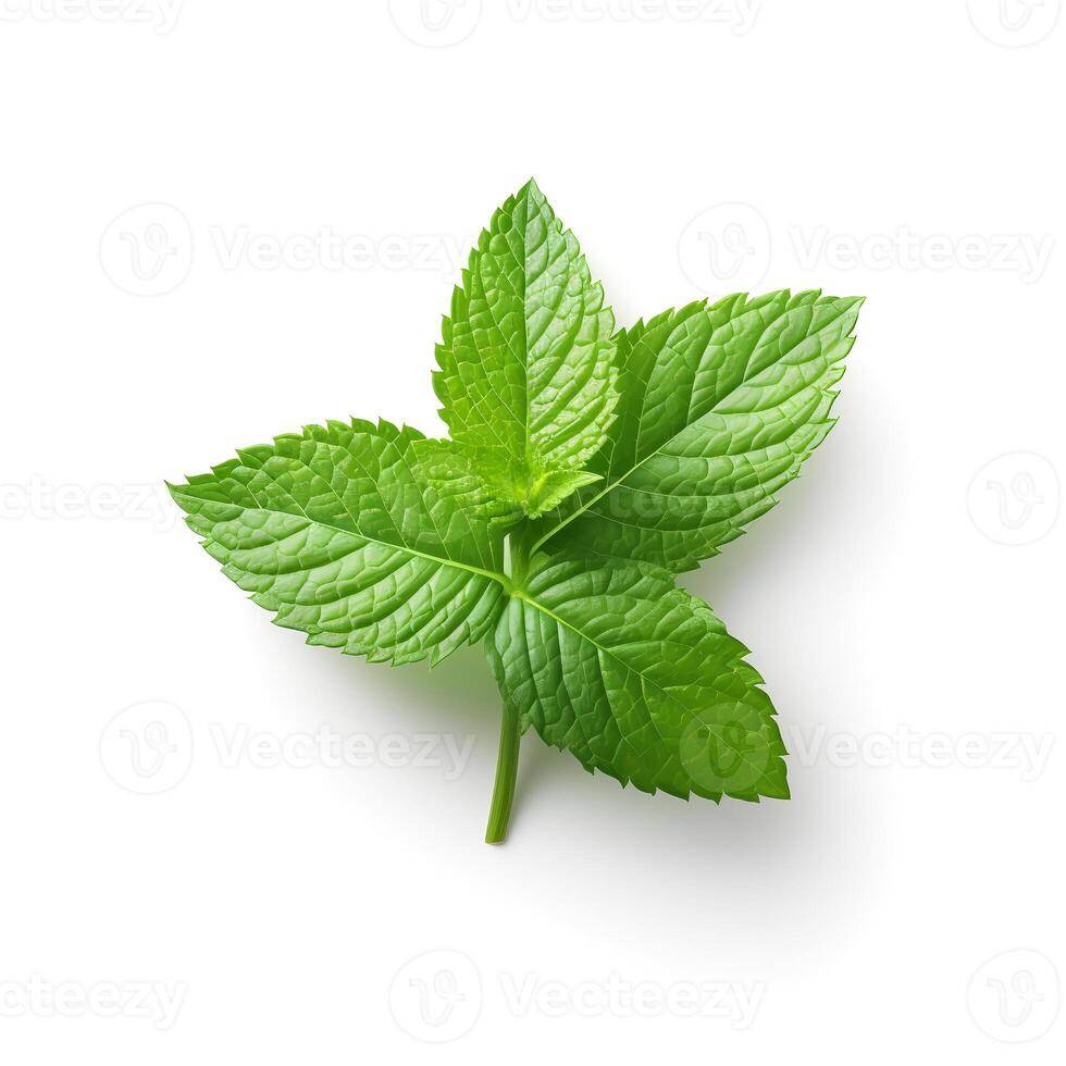 foto de menta hoja aislado en blanco antecedentes. generativo ai