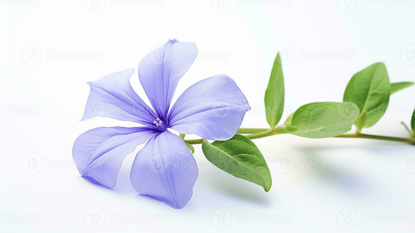 Photo of beautiful Periwinkle flower isolated on white background. Generative AI