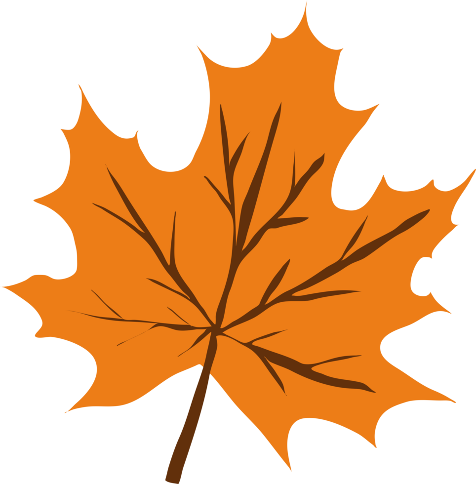 set-of-autumn-leaves-29860183-png
