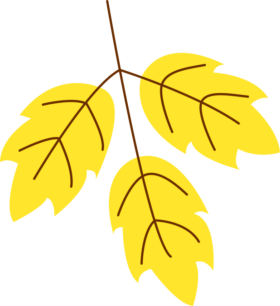 set of autumn leaves png