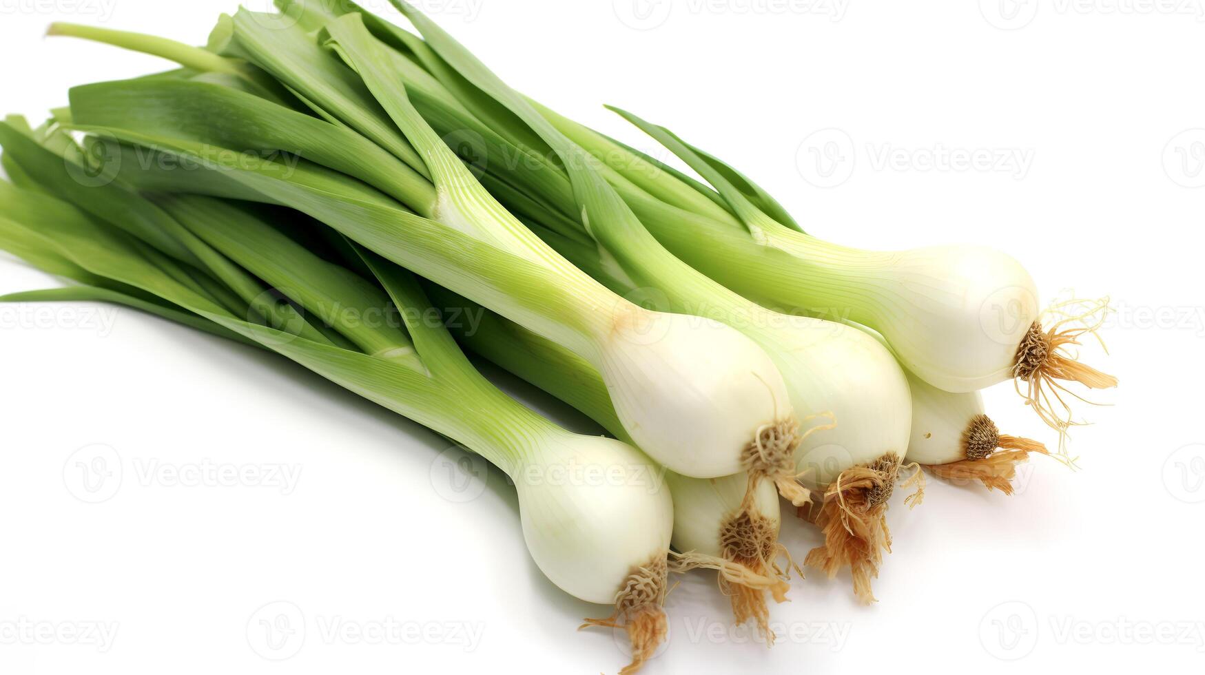 Photo of Leeks isolated on white background.