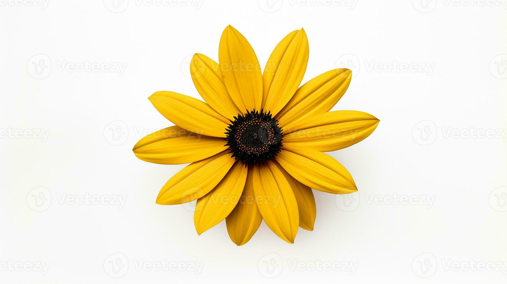 foto de hermosa ojos negro Susan flor aislado en blanco antecedentes. generativo ai