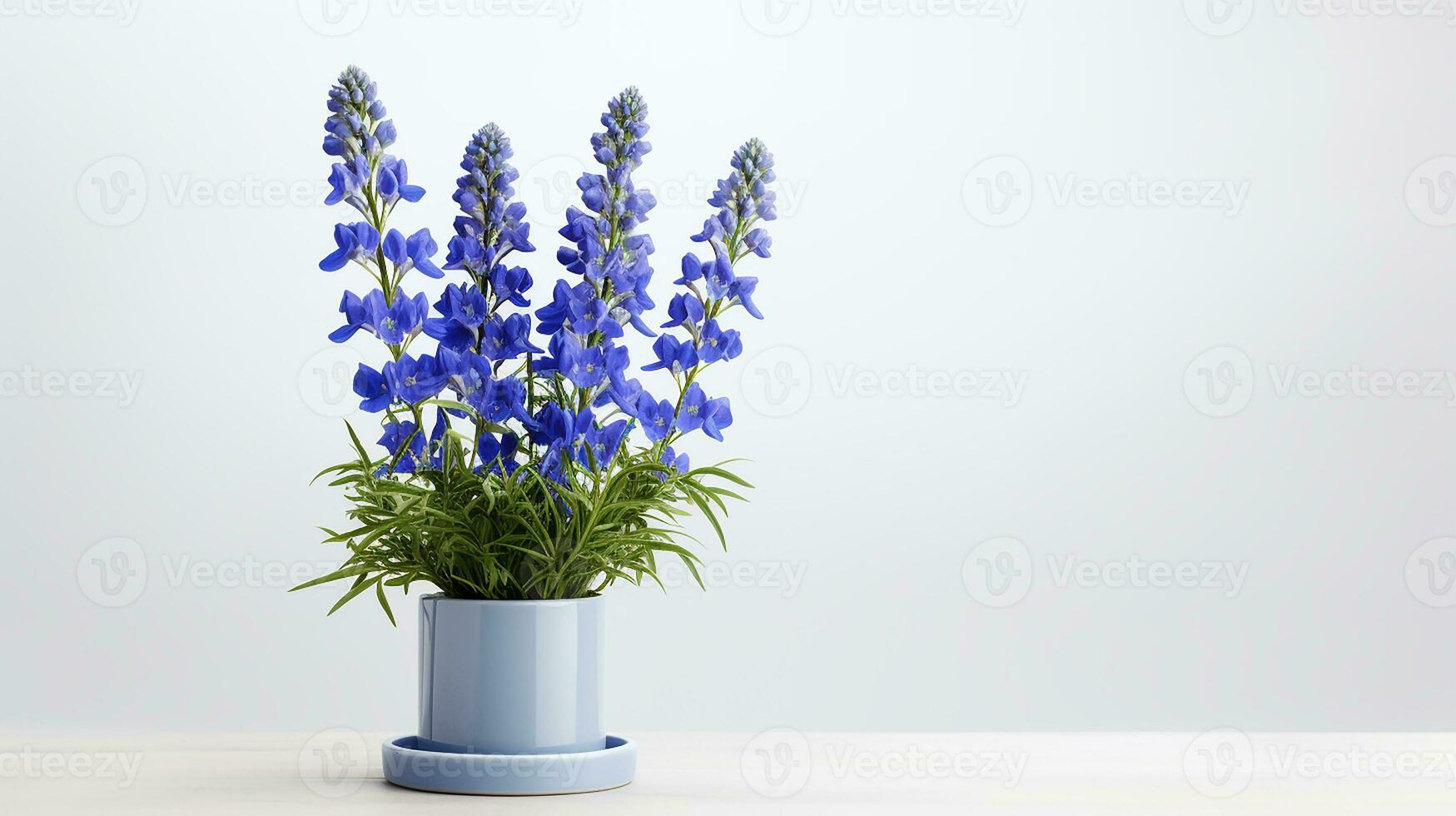 Photo of Delphinium flower in pot isolated on white background. Generative AI