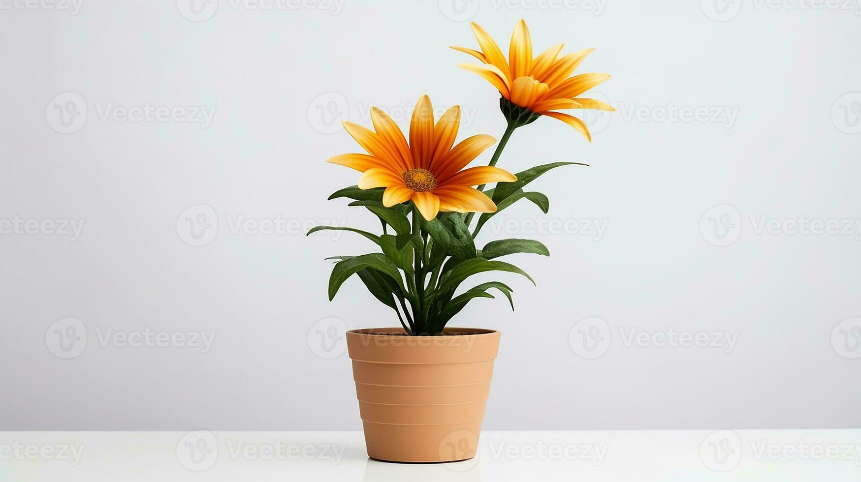 Photo of Gazania flower in pot isolated on white background. Generative AI