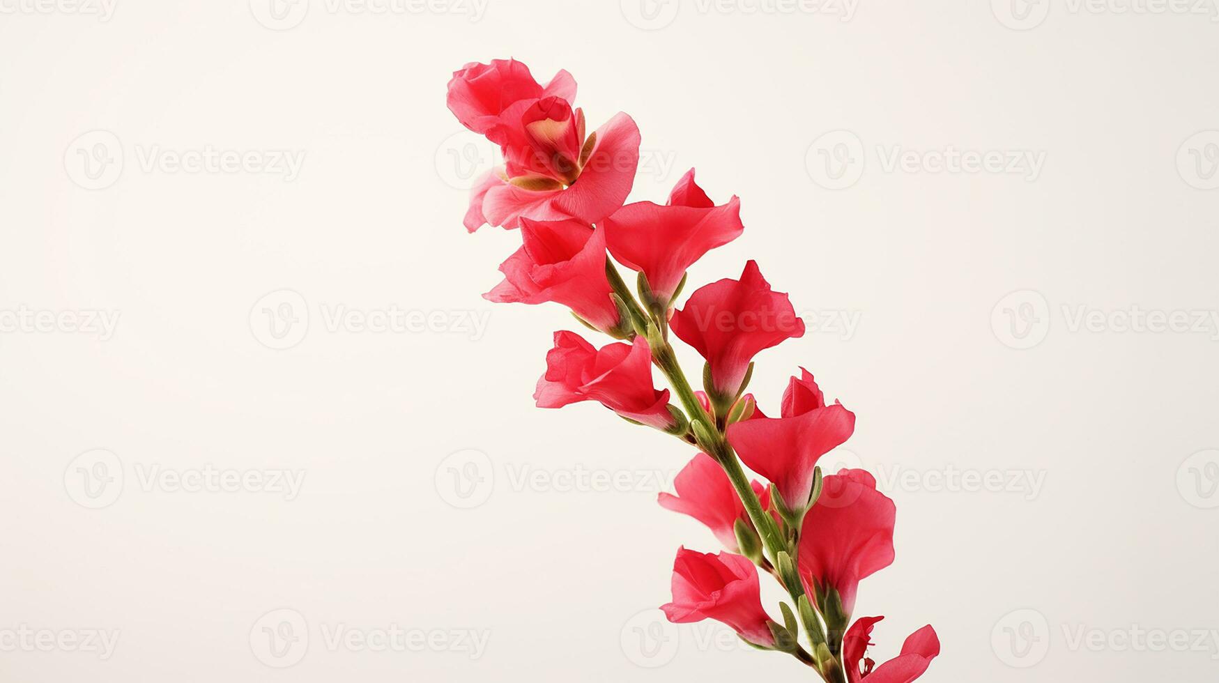 Photo of beautiful Snapdragon flower isolated on white background. Generative AI