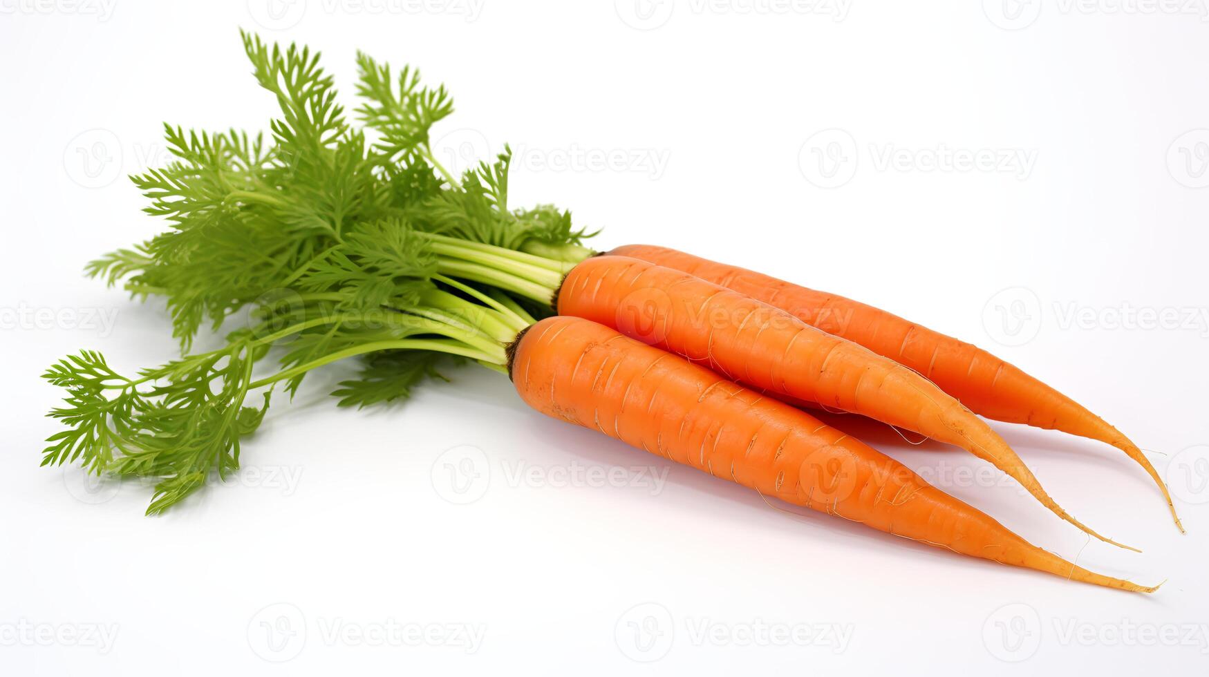 Photo of Carrot isolated on white background.