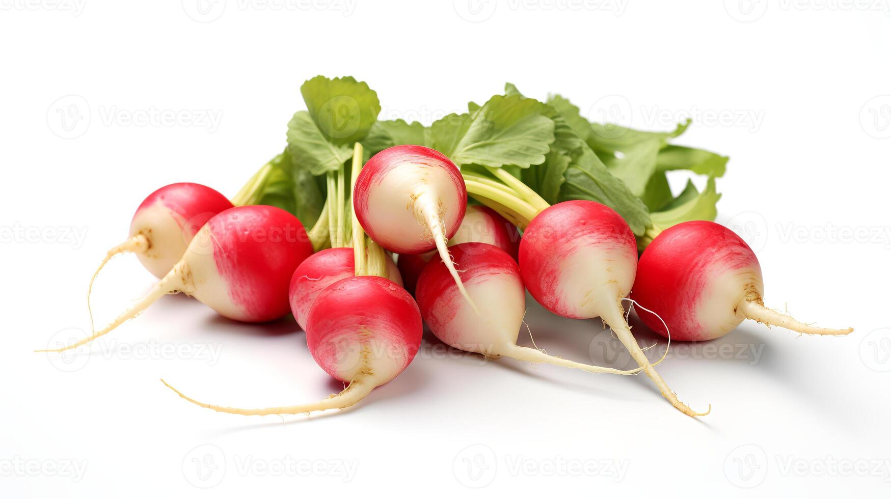 Photo of Radishes isolated on white background.