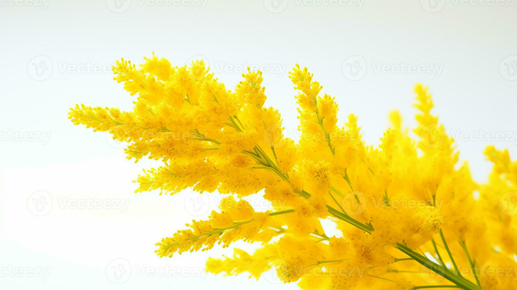 foto de hermosa vara de oro flor aislado en blanco antecedentes. generativo ai