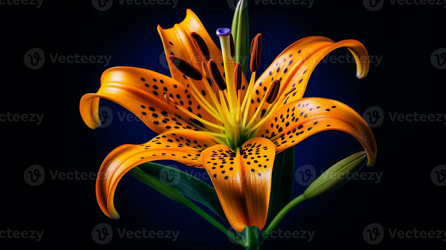 Photo of beautiful Tiger Lily flower isolated on white background. Generative AI
