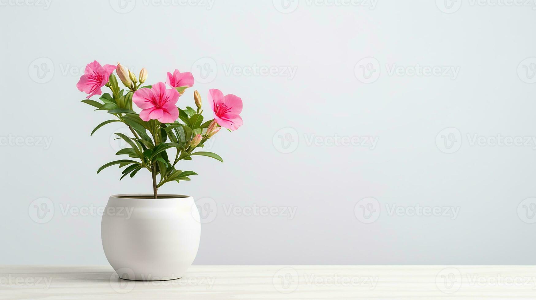 Photo of Godetia flower in pot isolated on white background. Generative AI