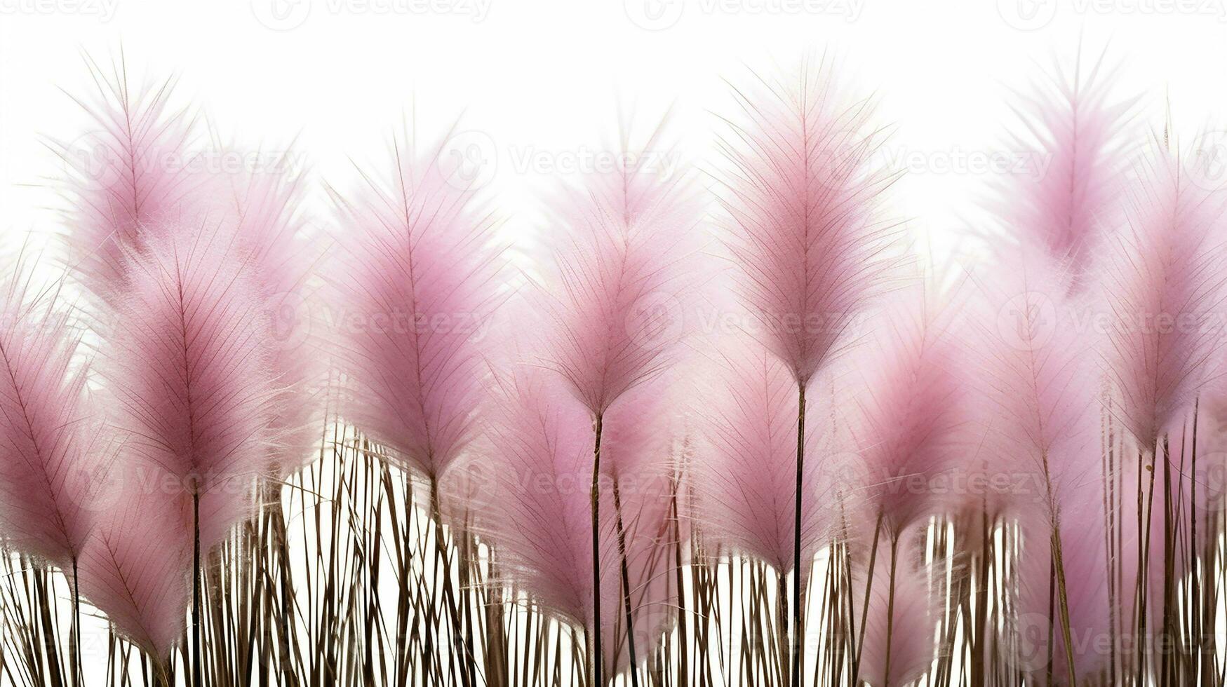 Fountain Grass flower patterned background. Flower texture background. Generative AI photo