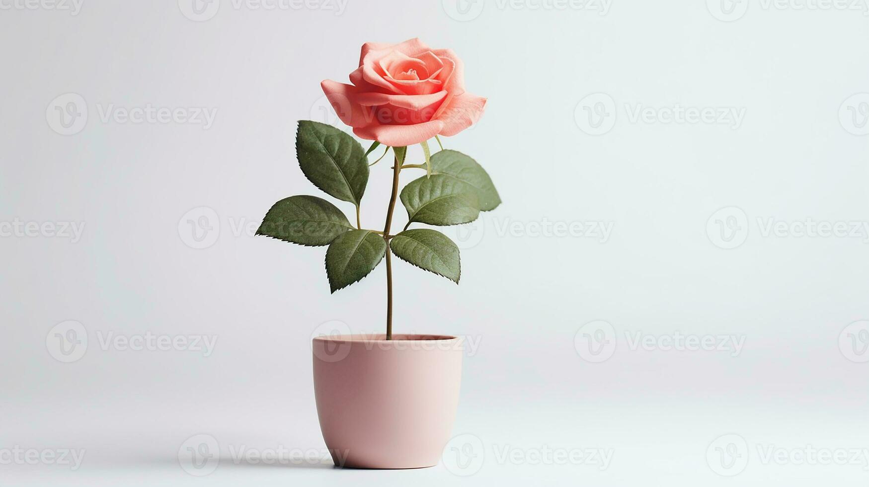 Photo of Rose flower in pot isolated on white background. Generative AI