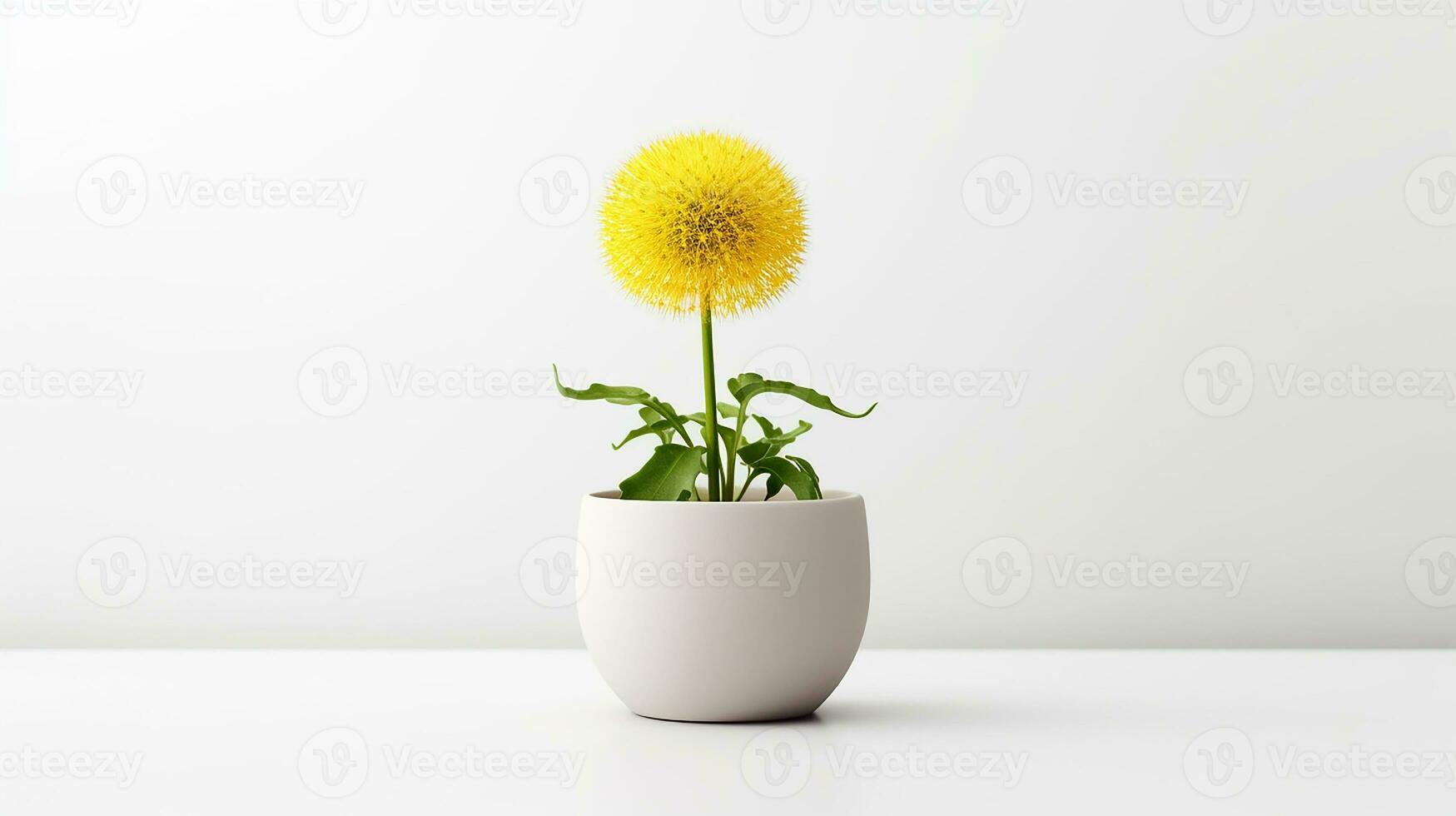 Photo of Dandelion flower in pot isolated on white background. Generative AI