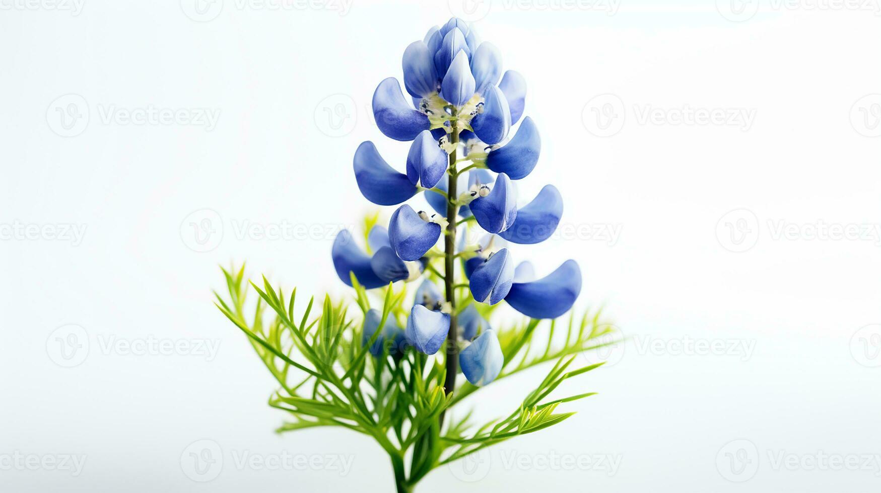 Photo of beautiful Bluebonnet flower isolated on white background. Generative AI