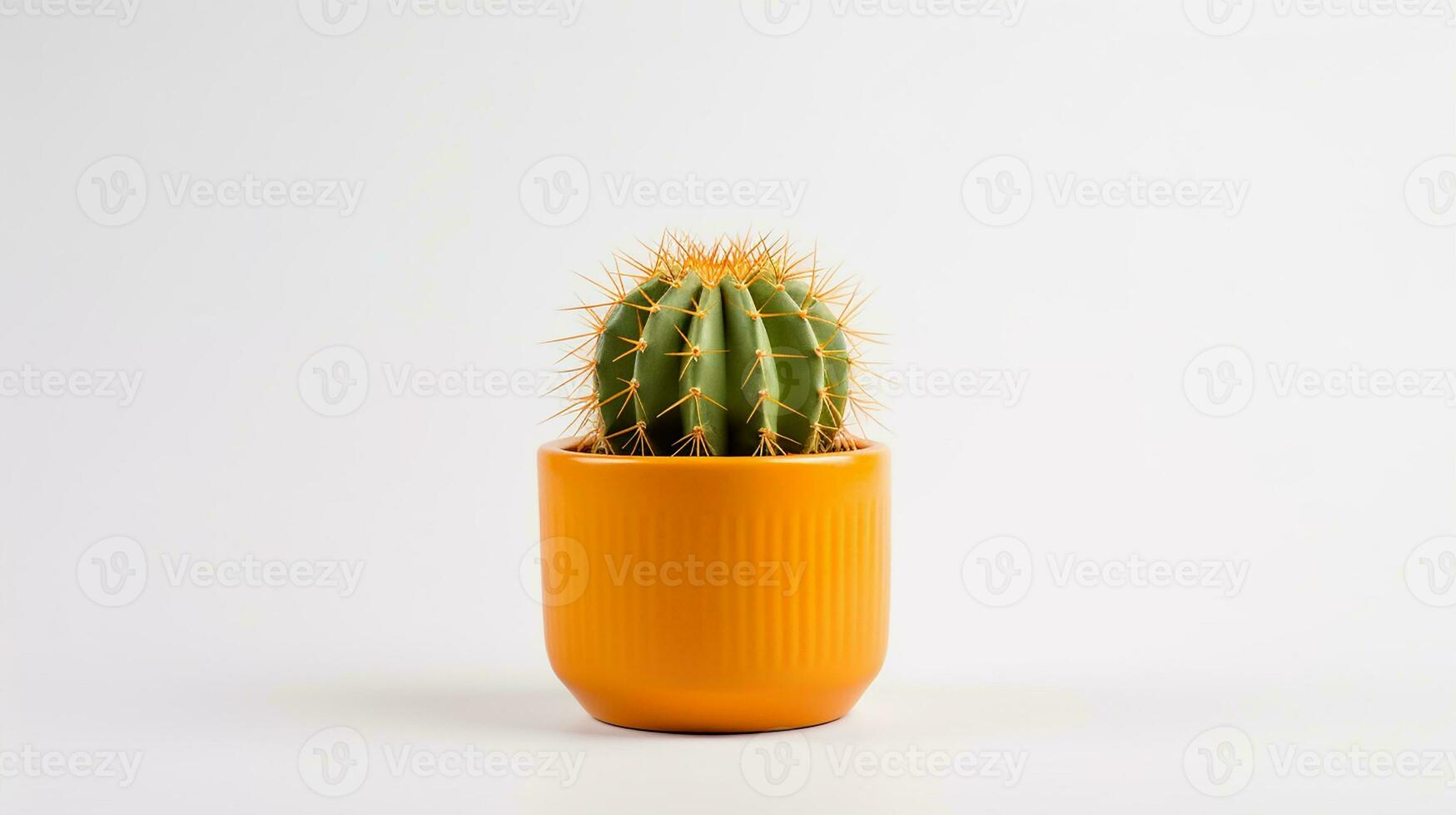 Photo of Cactus Flower flower isolated on white background. generative ai