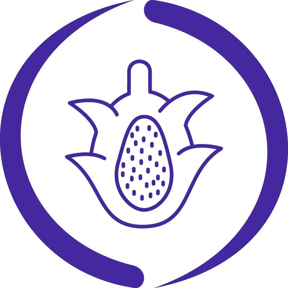 Dragon Fruit Vector Icon