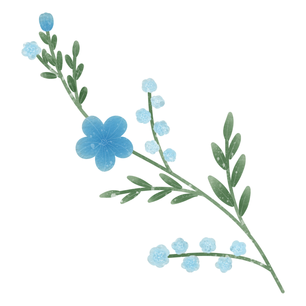 Colorful flowers Botanical plant illustration transparent background png