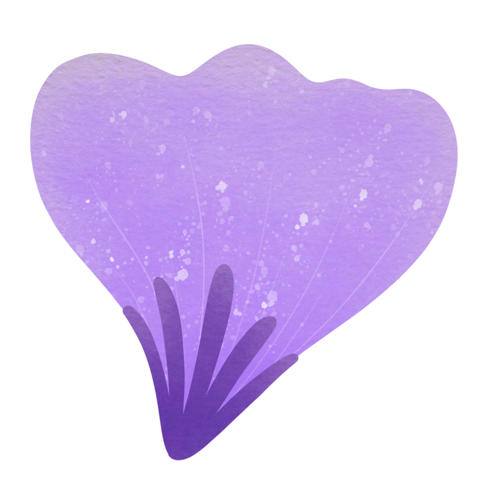 Colorful flowers Botanical plant illustration transparent background png