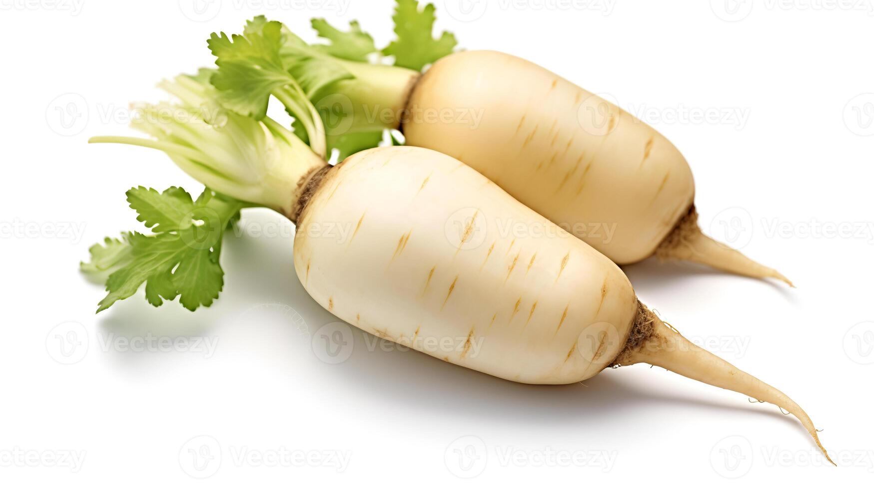 Photo of Daikon radish isolated on white background.