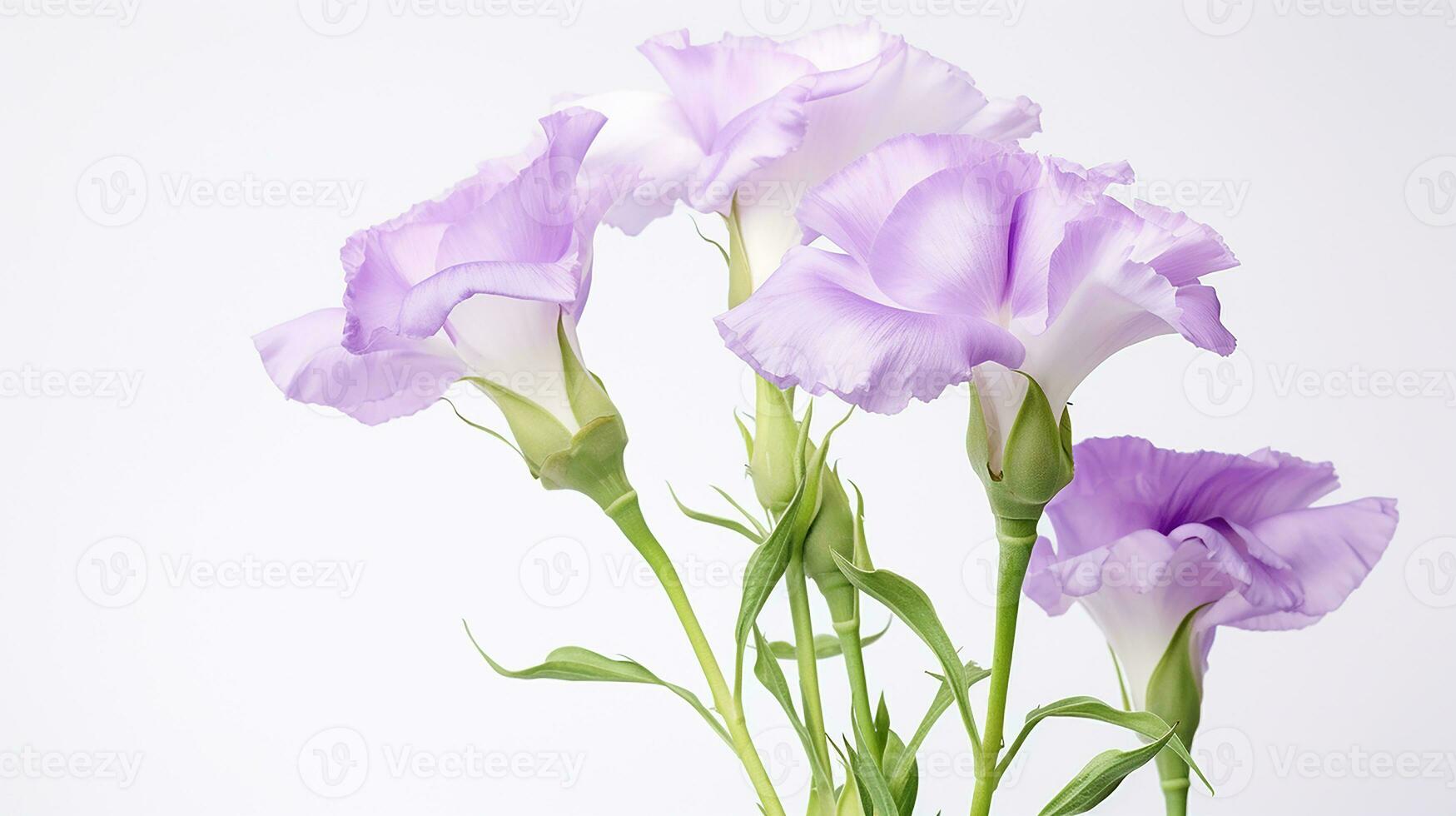 Photo of beautiful Lisianthus flower isolated on white background. Generative AI