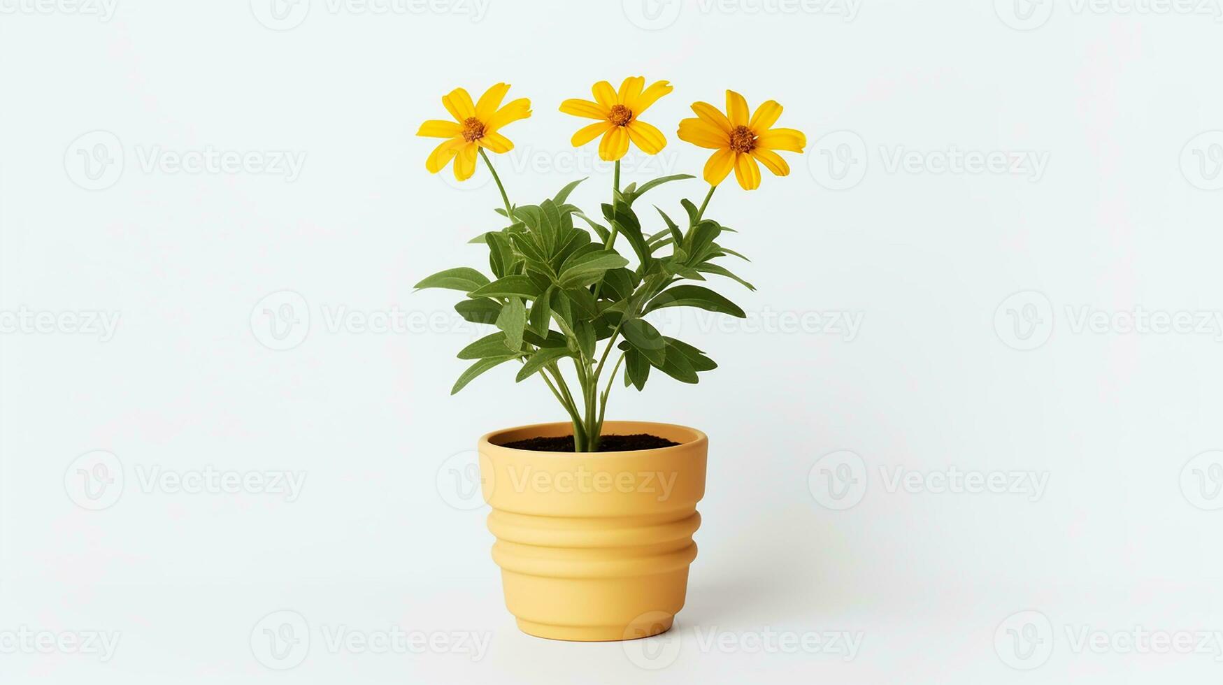Photo of Coreopsis flower in pot isolated on white background. Generative AI