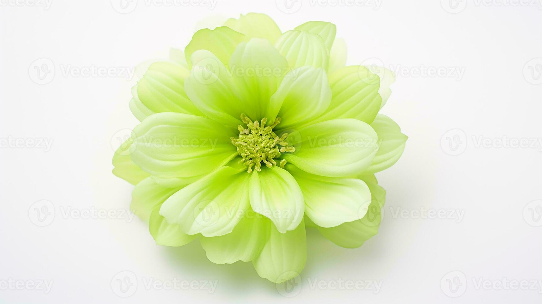 Photo of beautiful Chrysopsis flower isolated on white background. Generative AI