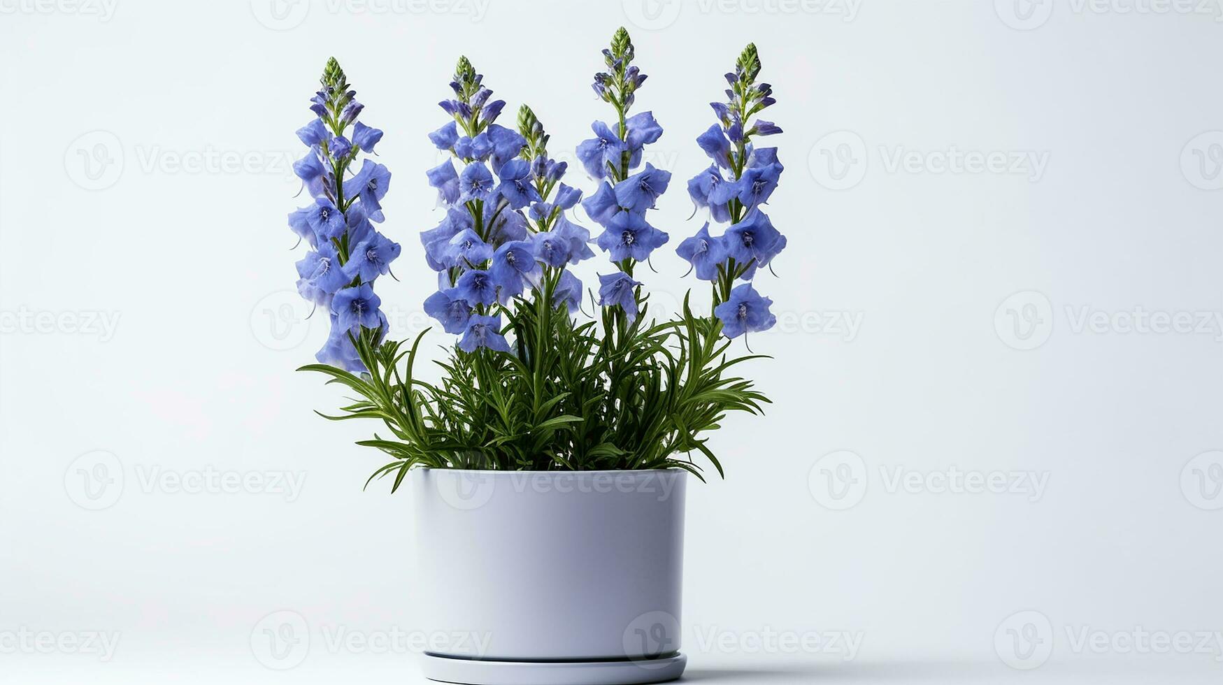 Photo of Delphinium flower in pot isolated on white background. Generative AI