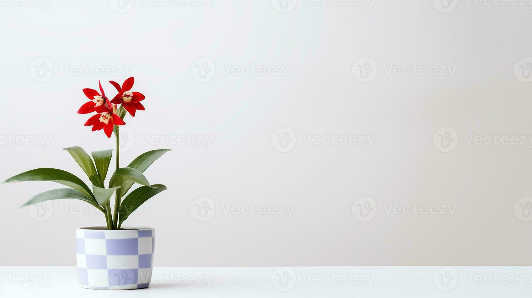 Photo of Harlequin flower in pot isolated on white background. Generative AI