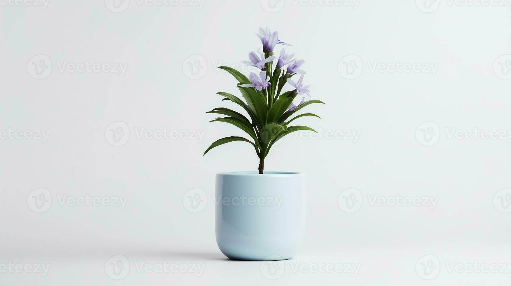 Photo of Stock flower in pot isolated on white background. Generative AI