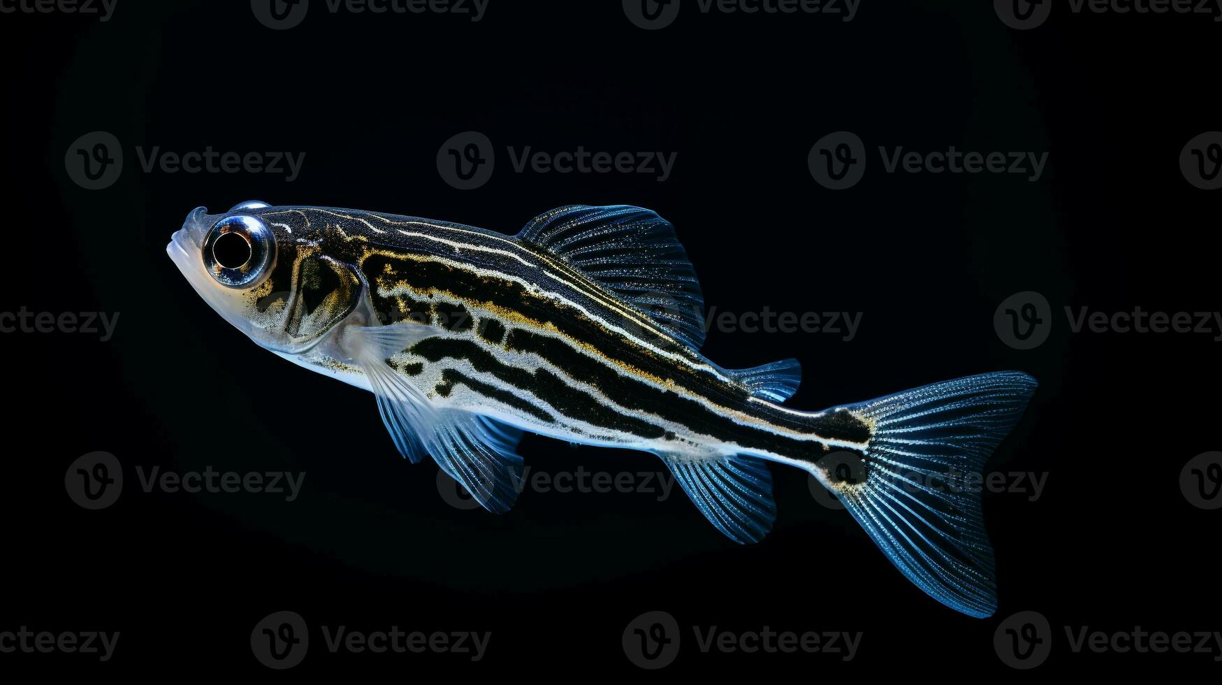 Wildlife photography of Photo of Zebrafish. Generative AI