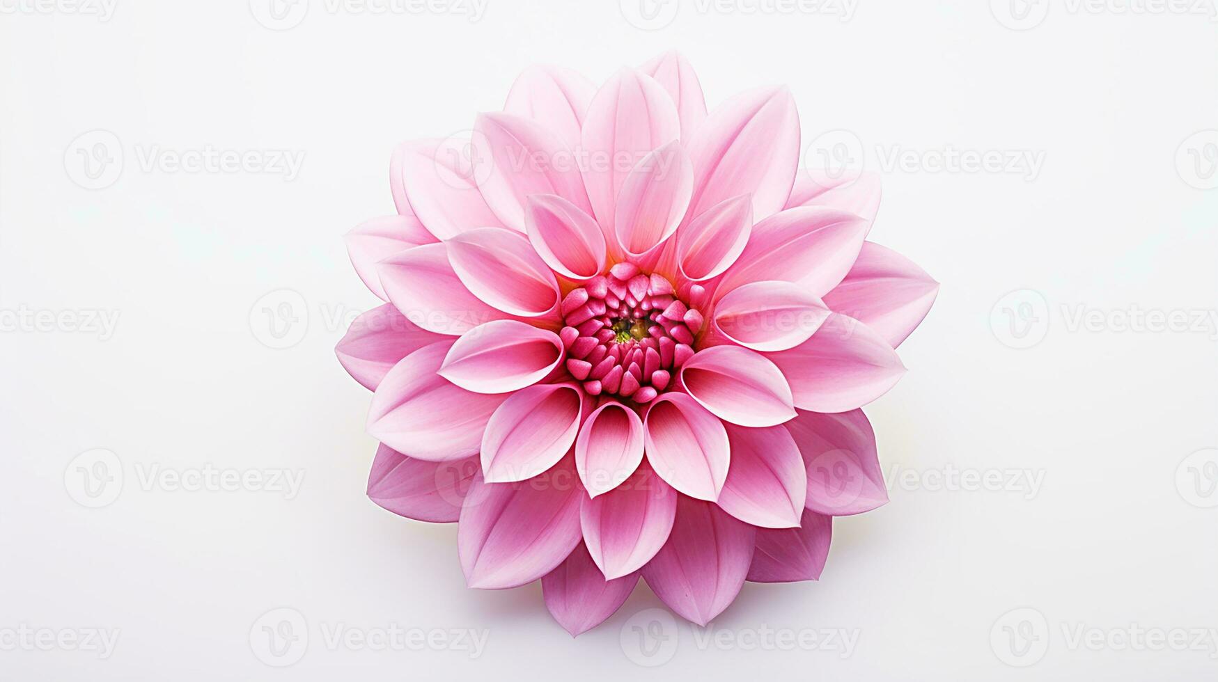 Photo of beautiful Pink flower isolated on white background. Generative AI