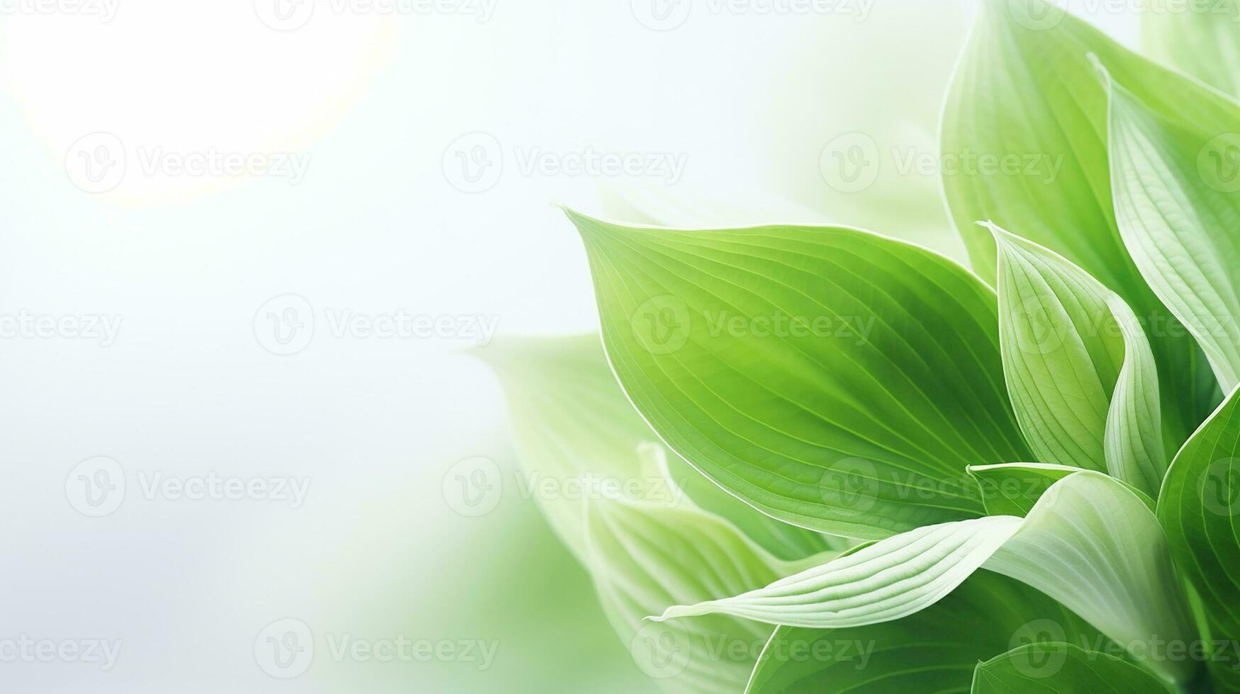 Photo of beautiful Hosta flower isolated on white background. Generative AI