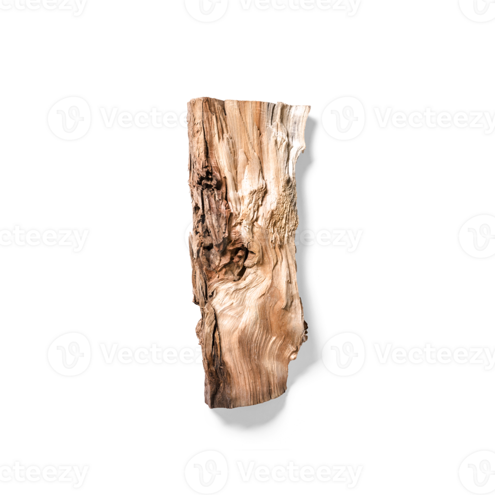 Isolated wooden log for your asset design. png