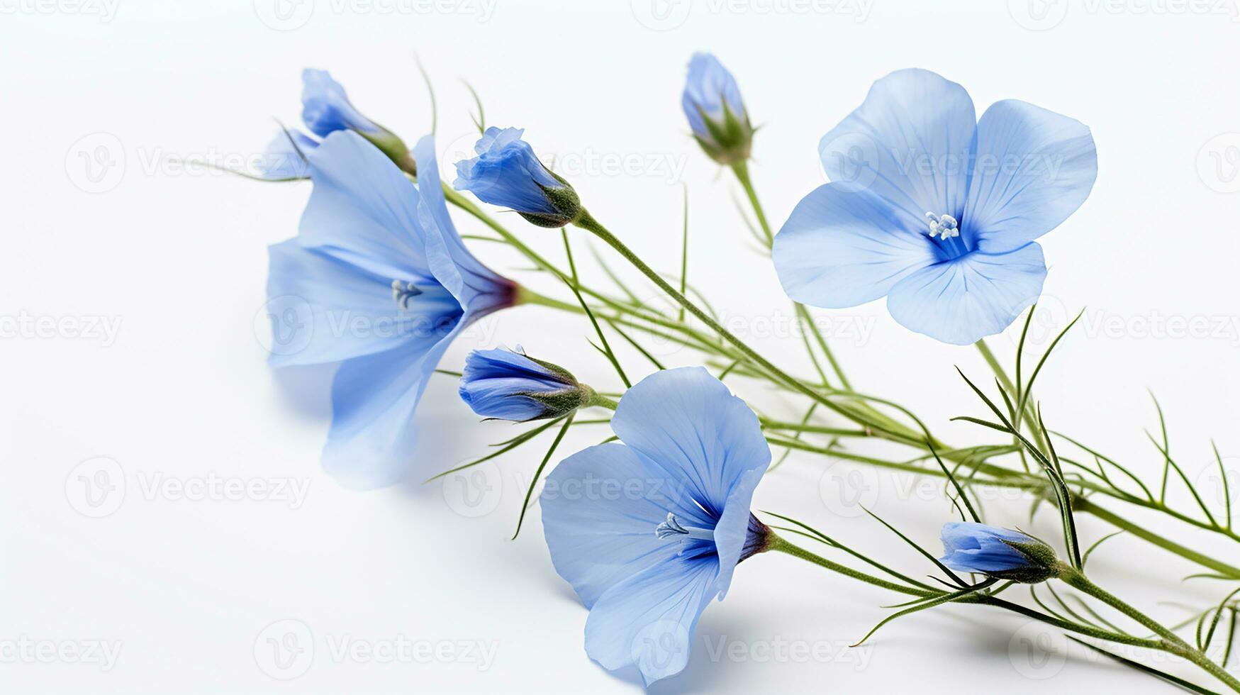 Photo of beautiful Flax flower isolated on white background. Generative AI