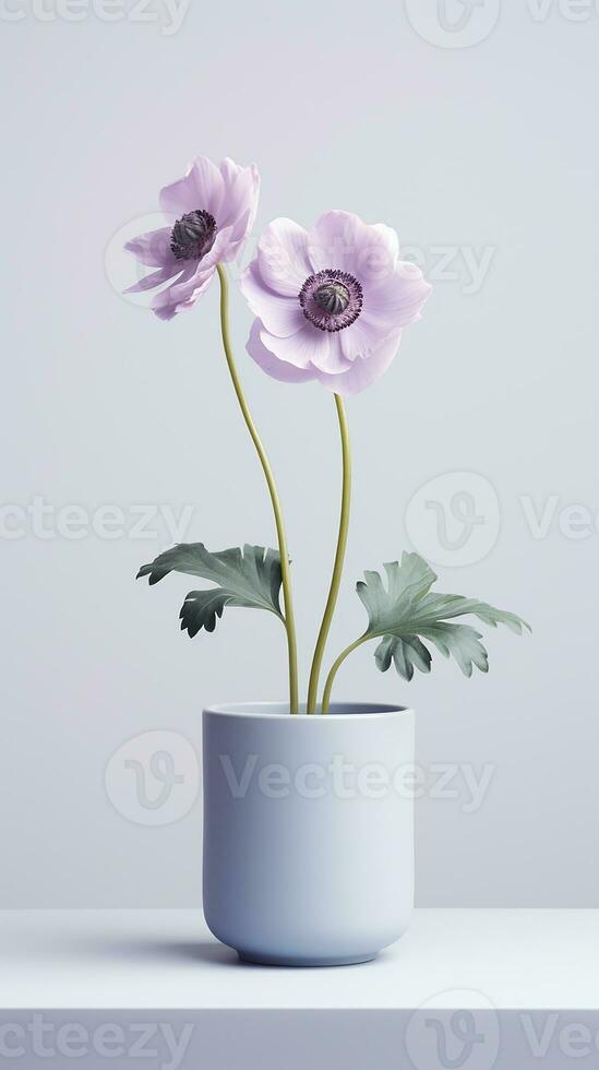 Photo of Anemone flower in pot isolated on white background. Generative AI