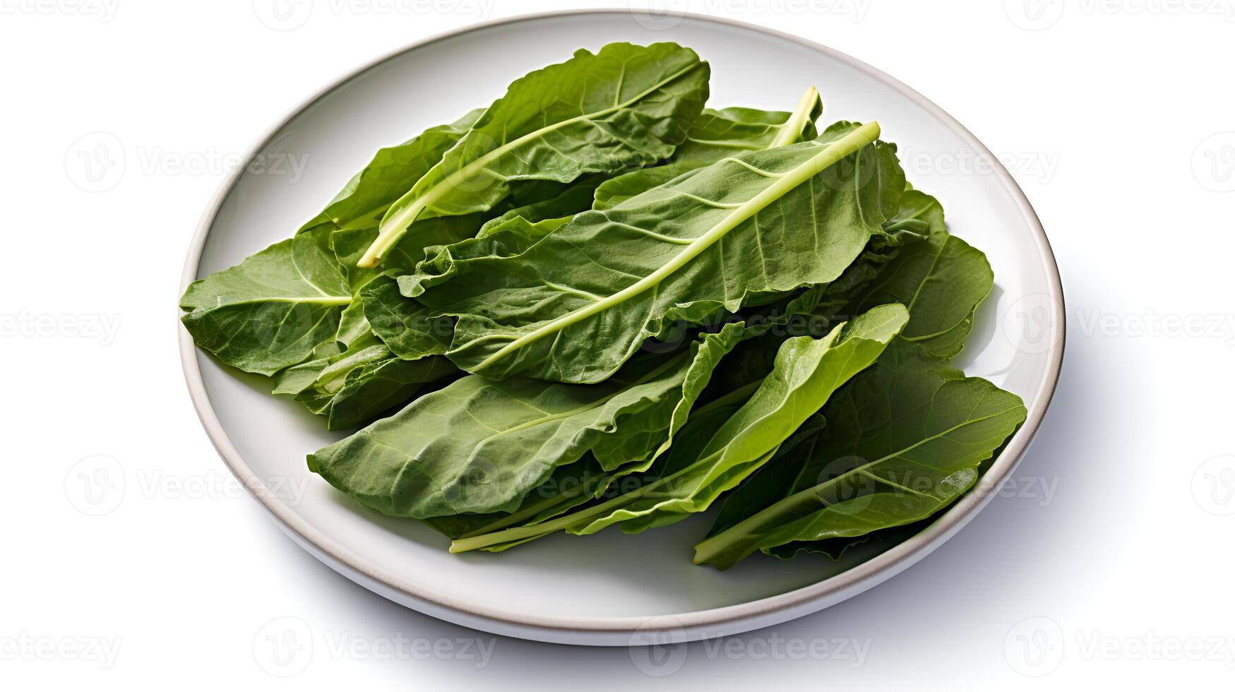 Photo of Collard greens on plate isolated on white background.