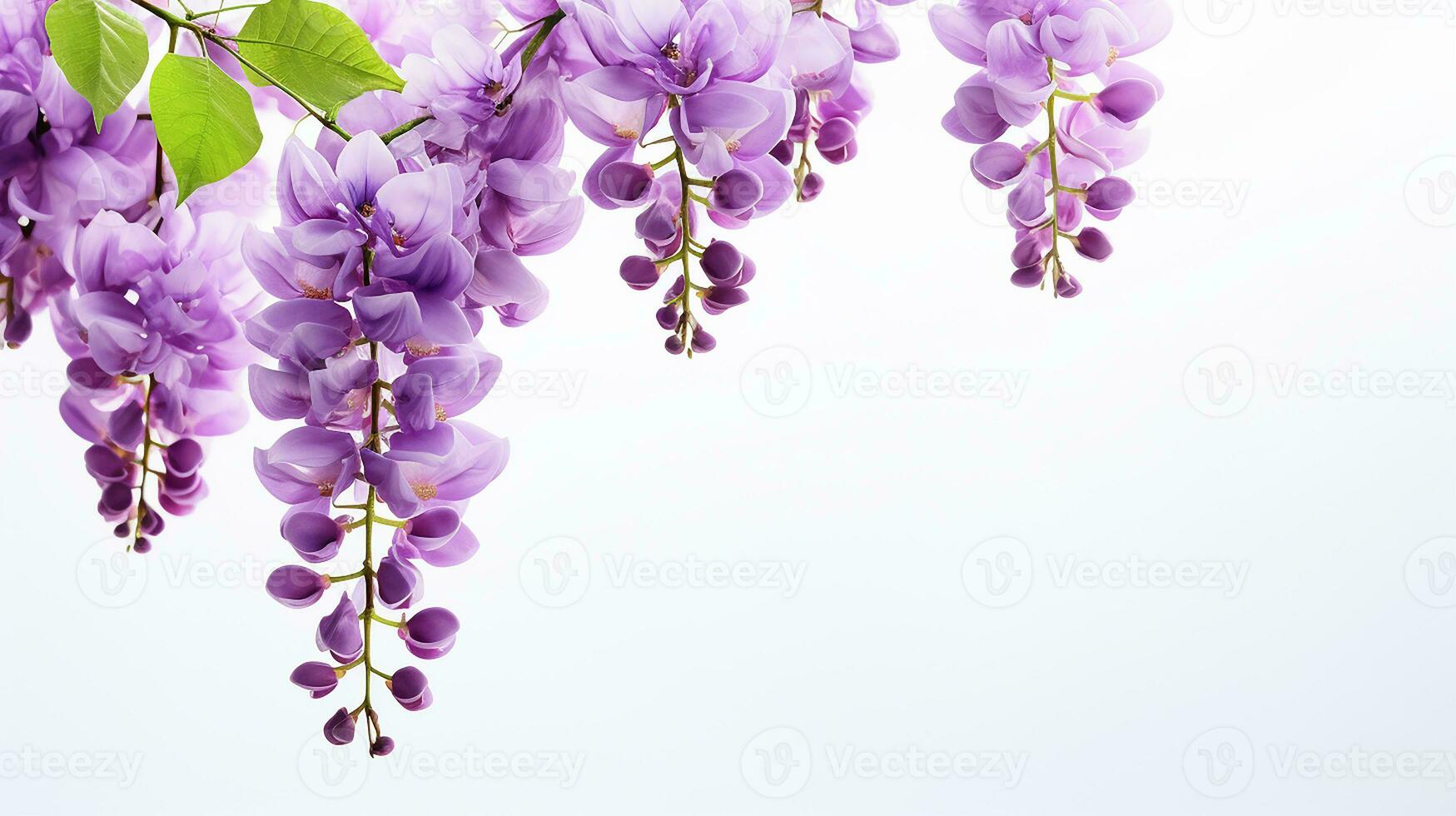 Photo of beautiful Wisteria flower isolated on white background. Generative AI