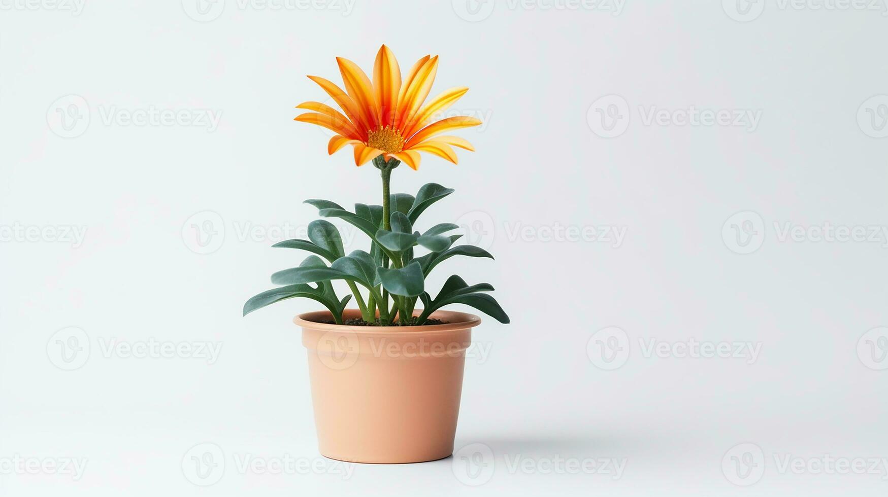 Photo of Gazania flower in pot isolated on white background. Generative AI